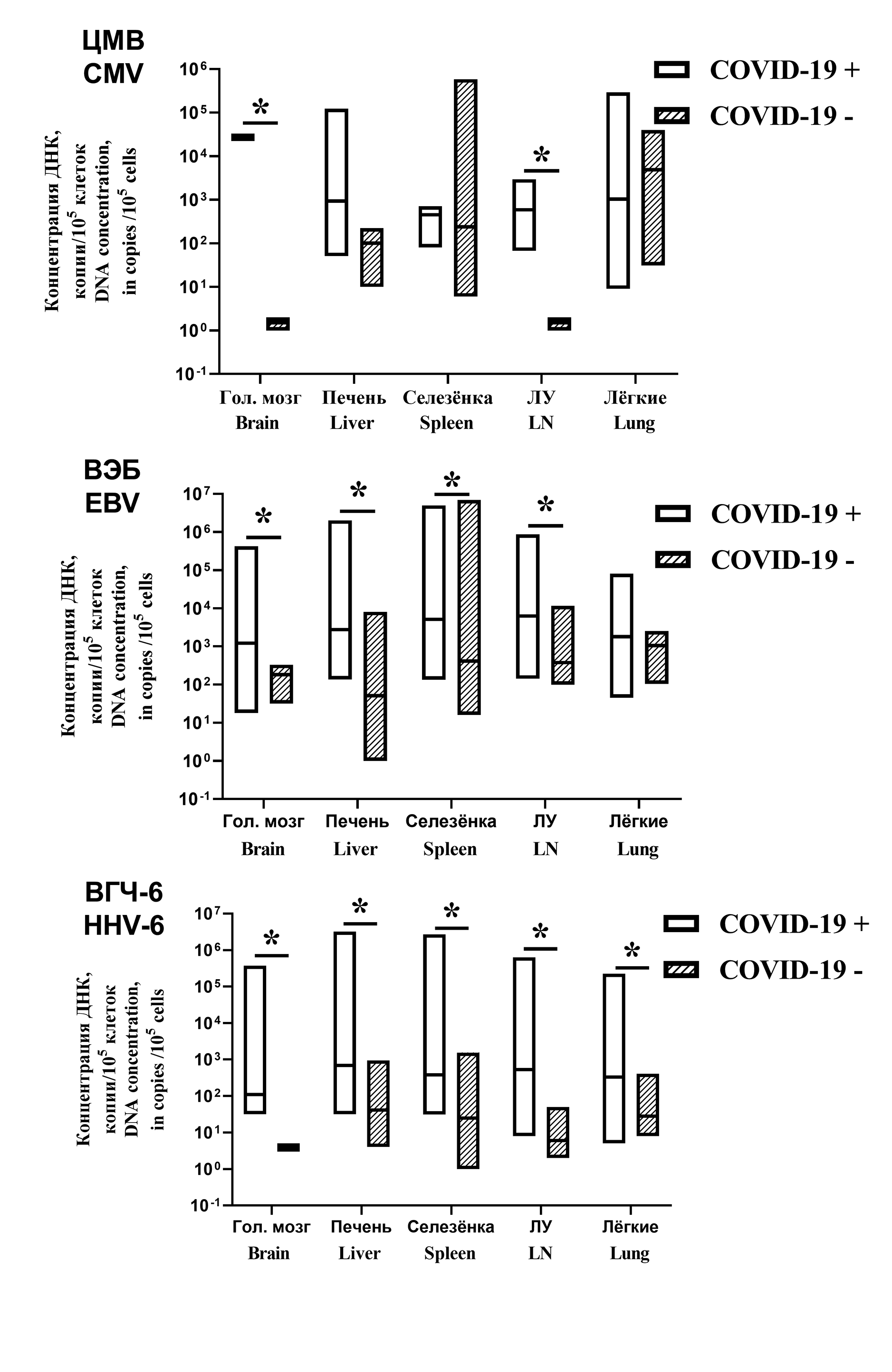 Detection rates and high concentration of herpesvirus (Orthoherpesviridae)  DNA in autopsy materials from patients with COVID-19 fatal outcome - Yurlov  - Problems of Virology